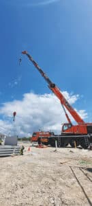 Gunning for diversity with Cranes